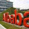 Pendapatan Alibaba Naik 34 Persen