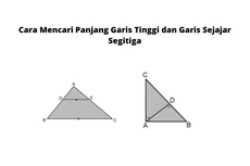 Cara Mencari Panjang Garis Tinggi dan Garis Sejajar Segitiga