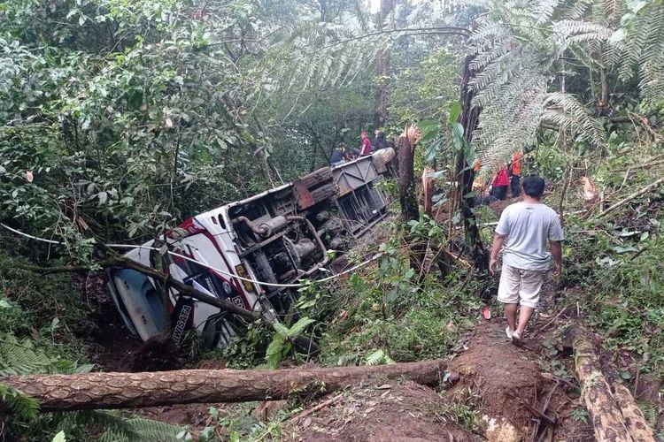 Sebanyak 22 penumpang bus Semeru Putra Transindo dari Desa Manyaran Semarang Barat, Jawa Tengah yang mengalami kecelakaan terjun ke dalam jurang sedalam 30 meter di tikungan jalan menurun tajam di Greeb Forest tepatnya di Desa Sarangan Kabupaten Magetan, Jawa Timur dilarikan ke puskesmas Plaosan.