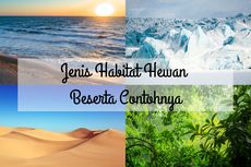 Jenis Habitat Hewan Beserta Contohnya