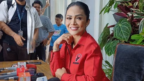 Artis yang Unggul di Pilkada 2024 Berdasarkan Hasil "Quick Count", Siapa Saja?