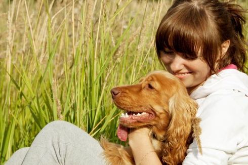 Mengapa Anjing Bisa Memahami Manusia? Ilmuwan Mengungkap Alasannya