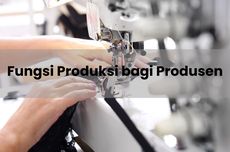 Fungsi Produksi bagi Produsen