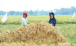 Genjot Produktivitas, Petani Tolitoli Disarankan Kementan Manfaatkan KUR Pertanian