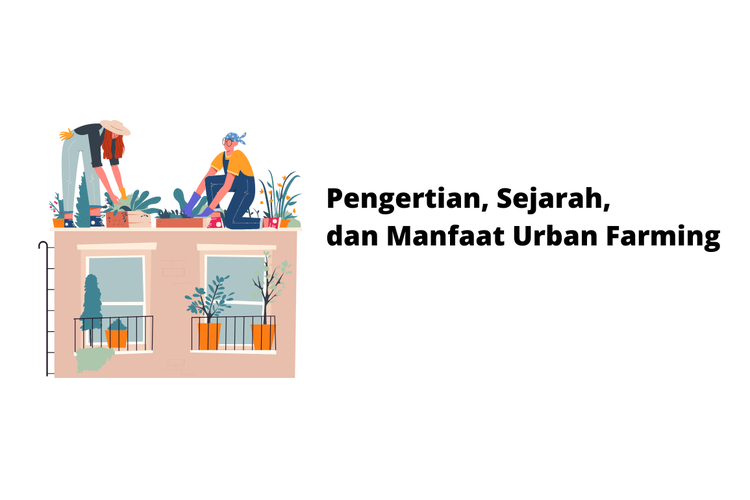 Pengertian, Sejarah, Dan Manfaat Urban Farming