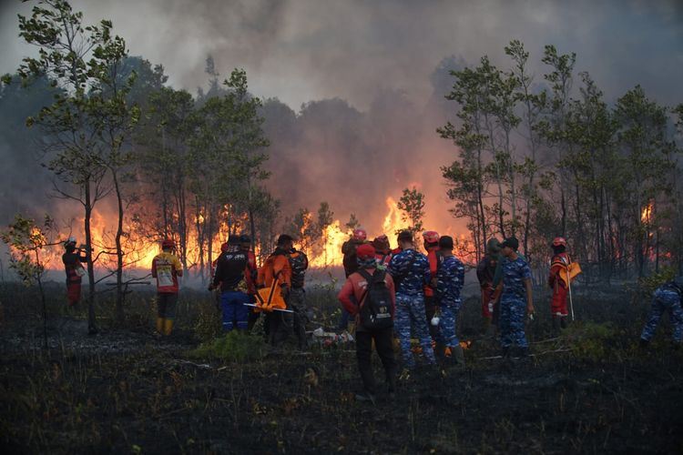 Sulitnya Warga Kotawaringin Barat Bertahan di Tengah Karhutla: Asap Makin Pekat, Sumur Mengering