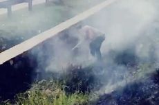 Cerita di Balik Video Viral Polisi Matikan Kebakaran Ilalang di Km 49 Tol Japek