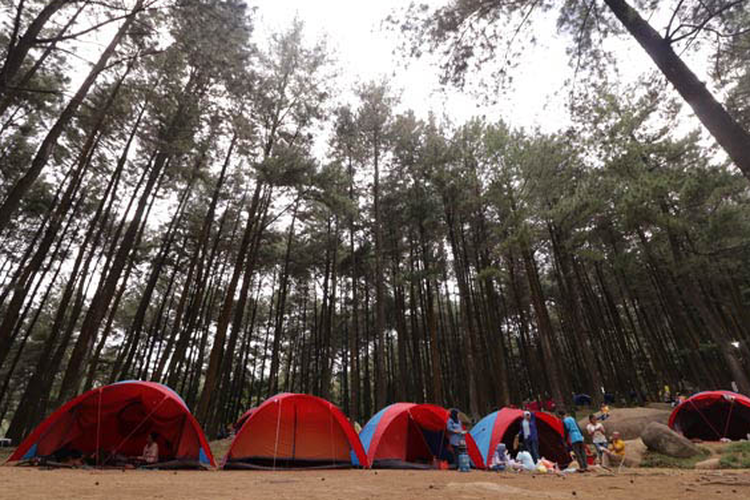Suasana camping di Taman Wisata Alam Gunung Pancar, Sentul, Bogor