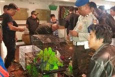 Polisi Tetapkan Tiga Tersangka Penyelundupan 120 Burung Dilindungi
