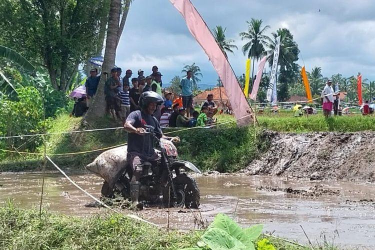 Buruh Panggul Unjuk Skill Balap dalam “Manol Gabah Championship” Banyuwangi