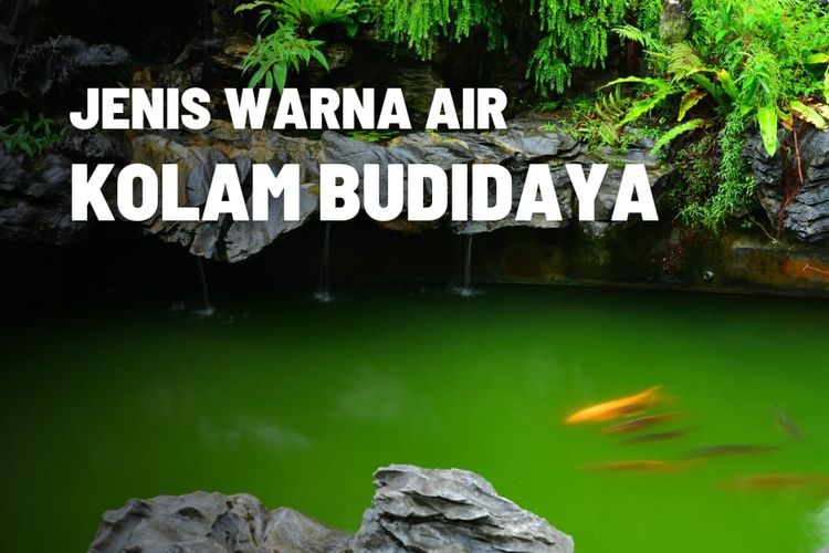 Jenis Jenis Warna Air Pada Kolam Budidaya Ikan 7929