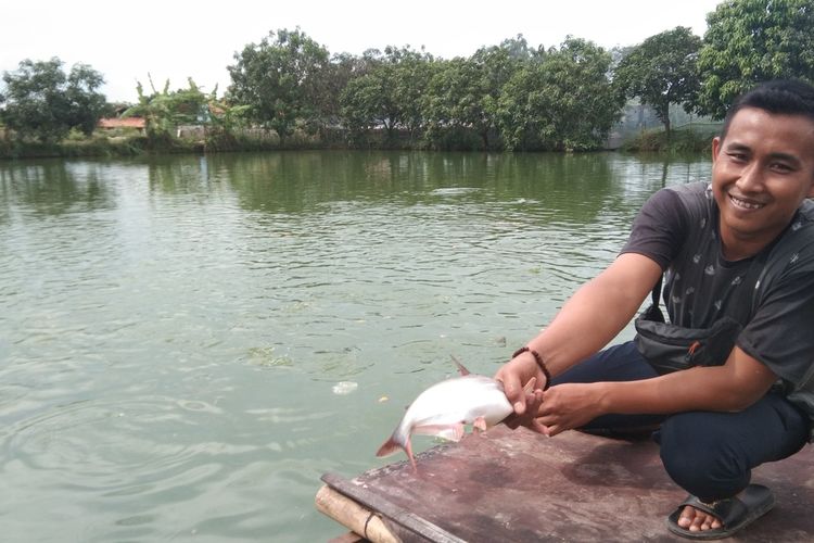 Abdul Rozak (27), warga Desa Mekarmulya, Kecamatan Telukjambe Barat, Kabupaten Karawang memperlihatkan ikan patin di tambaknya, Kamis (9/7/2022).