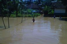 Banjir Rendam Sawah dan Rumah di Nagekeo NTT