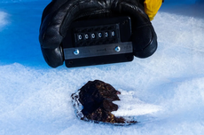 Es Antartika Mencair Bikin Meteorit Menghilang, Kok Bisa?