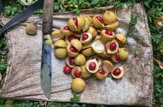 Daging Buah Pala, dari Limbah Kini jadi Cuan