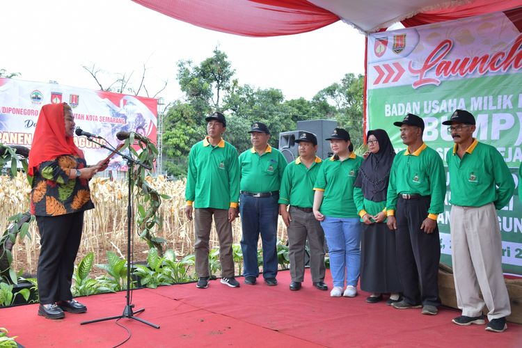 Pemerintah Kota (Pemkot) Semarang meluncurkan Badan Usaha Milik Petani (BUMP) Lumpang Semar Sejahtera sekaligus mengukuhkan Organisasi Petani Vanili, Kamis (26/1/2023).
