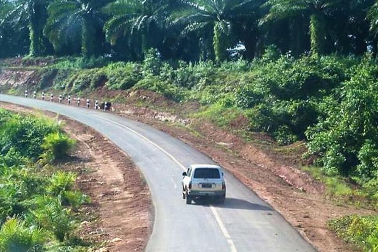 Jalan Trans Papua Ruas Merauke-Boven Digul-Tanah Merah.