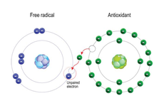 Apa Itu Radikal Bebas? Berikut Pengertian, Sumber, dan Dampaknya pada Tubuh