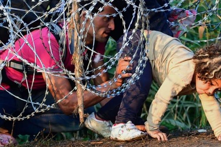 Sebuah keluarga migran asal Timur Tengah nekat menerobos kawat berduri di perbatasan Serbia-Hungaria dalam upaya mereka menuju ke wilayah Uni Eropa.