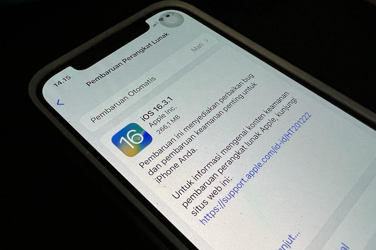 Ilustrasi cara update iOS 16.3.1 untuk mengatasi sejumlah bug.
