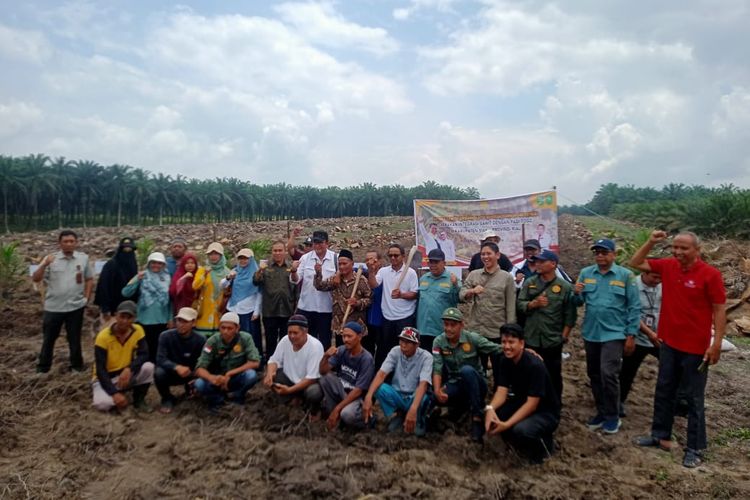 Kementerian Pertanian (Kementan) melalui Direktorat Jenderal Perkebunan (Ditjenbun) terus menggalakkan penanaman padi gogo pada lahan peremajaan sawit.
