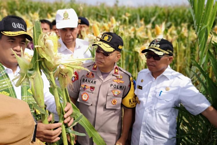 Menteri Pertanian Andi Amran Sulaiman saat kunjungan ke Desa Lariang Kecamatan Tikke Raya, Kabupaten Pasang Kayu, Sulawesi Barat, Rabu (31/10/2018).