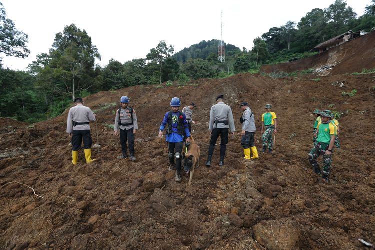 Pencarian korban tertimbun longsor akibat gempa menggunakan anjing pelacak di Kampung Pos, Desa Cijedil, Kecamatan Cugenang, Kabupaten Cianjur, Jawa Barat, mengungsi di tenda darurat dampak gempa bumi di Cianjur, Selasa (22/11/2022). Sedikitnya 162 orang meninggal dunia, 326 warga luka-luka, dan 13.784 orang mengungsi akibat gempa bermagnitudo 5,6 di Cianjur.