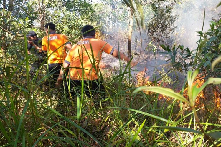 Petugas pemadam kebakaran menggunakan ranting pohon untuk menjinakan api di lahan yang terbakar dekat Bandara Depati Amir Pangkalpinang, Sabtu (5/6/2021).