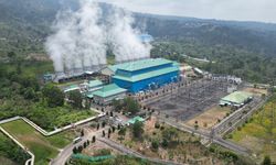 Penjualan REC PLN Tumbuh 19,65 Persen, Industri Berat dan Manufaktur Besar Jadi Pendorong Utama