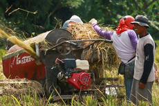 Kredit Pertanian BRI Tembus Rp 117,54 Triliun, Pembiayaan Rice Mill Jangkau Lebih dari 40.000 Nasabah