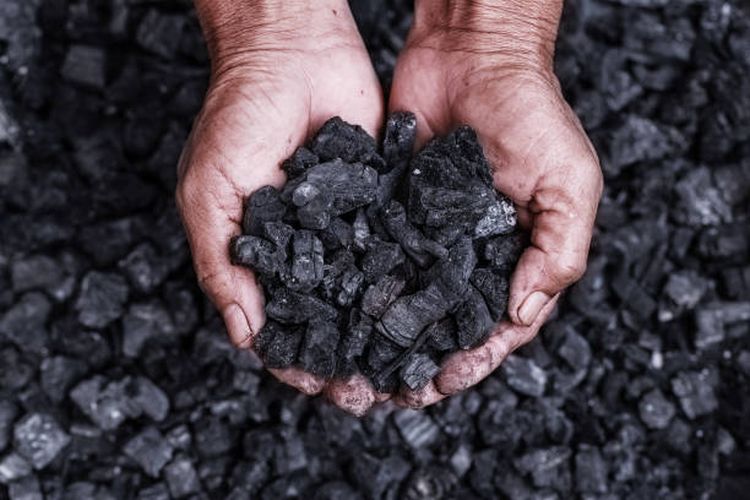 Ilustrasi jenis-jenis batu bara.