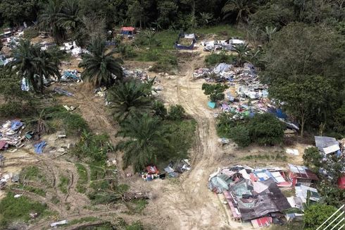 5 Fakta Kampung Ilegal Warga Indonesia di Hutan Malaysia, Ada Sekolah Darurat, Listrik Pakai Genset 
