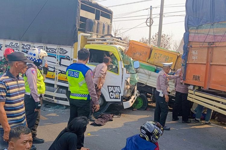 Pemerintah Lampung Desak Pembakaran Lahan Ditindak Usai Asap Diduga Picu Kecelakaan