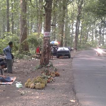 Penjual durian Kendal di pinggir hutan Jalan Raya Kaliwungu-Boja, Kendal, Jawa Tengah.