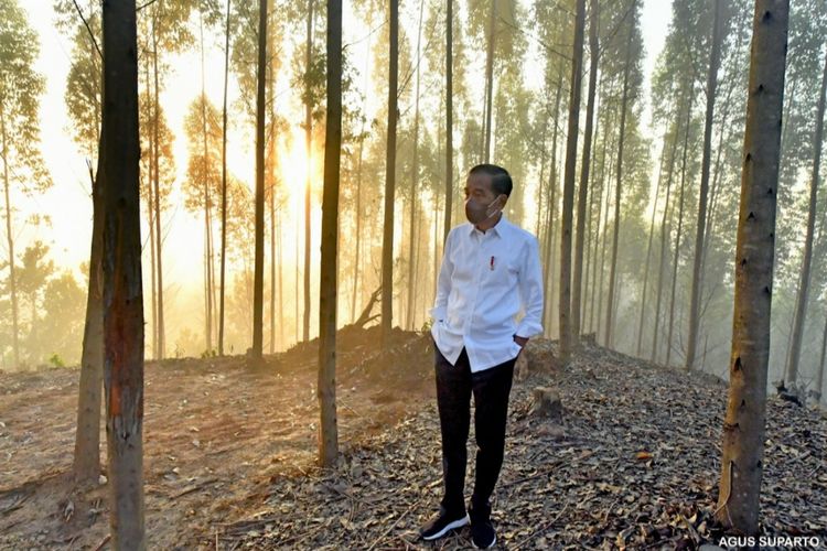 Presiden Joko Widodo usai berkemah di lokasi IKN Nusantara, Penajam Paser Utara, Kalimantan Timur pada Selasa (15/3/2022) pagi. 