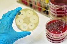 Mengenal Resistensi Antimikroba, Apa Itu?