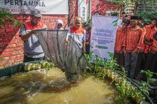 Desa Binaan Pertamina Trans Kontinental Kelola 31,5 Ton Sampah, Kini Jadi Pusat Eduwisata