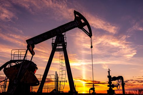 OPEC+ Sepakat Pangkas Produksi Minyak Mentah hingga 2 Juta Barrel Per Hari