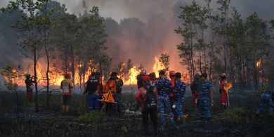 MUI Minta Pelaku Karhutla Ditindak, Ingatkan Fatwa Haram Pembakaran yang Merusak