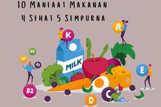 10 Manfaat Makanan 4 Sehat 5 Sempurna