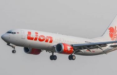 Berikut Daftar 181 Penumpang dan 7 Kru Lion Air JT 610 yang Jatuh ...