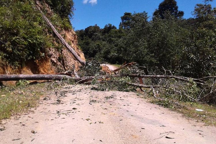  (Foto Aprem) Jalan penghubung antara Long Midang kecamatan Krayan dengan Kota Baalalan Malaysia diututup oleh sebagian warga Malaysia dengan menggunakan tanah dan pohon. Aksi penutupan jalan diduga ketidak puasan warga terhadap 3 warga Bakalakan yang tertangkap karena diduga mengedarkan sabu sabu di Kecamatan Krayan.