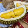 Durian Sultan Bandung, Tempat Makan Durian Musang King di Bandung