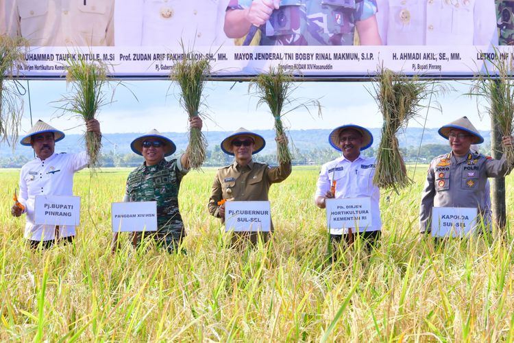 Penjabat (Pj) Gubernur Sulawesi Selatan Zudan Arif Fakrulloh dalam agenda panen padi optimalisasi lahan rawa di Kabupaten Pinrang, Jumat (28/6/2024)