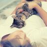 7 Cara Menunjukkan Cinta untuk Kucing Kesayangan