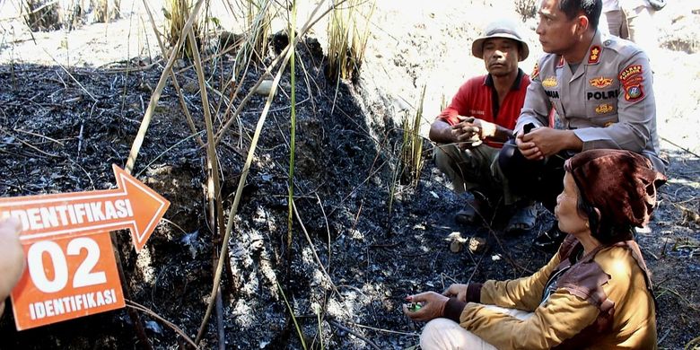 Berita Harian Kebakaran-hutan Terbaru Hari Ini - Kompas.com