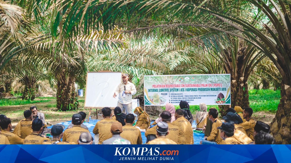 Petani Sawit Minta Pemerintah Buka Metode Klaim Kerugian Rp 600 Triliun Akibat Under Invoicing