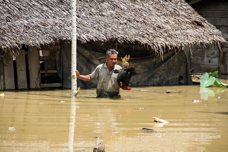 Warga menyelamatkan ayam ternak di area rumahnya yang terendam banjir di Desa Hagu, Kecamatan Matangkuli, Aceh Utara, Aceh, Selasa (16/6/2020).  Banjir yang disebabkan luapan sungai akibat tingginya intensitas hujan dalam beberapa hari terakhir menyebabkan ratusan rumah warga, sekolah, dan lahan pertanian di Kecamatan Lhoksukon dan Matangkuli terendam banjir. ANTARA FOTO/Rahmad/hp.
