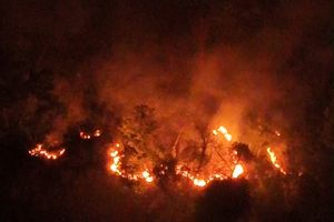 Ketika Chinook Jepang Mulai Beraksi Padamkan Karhutla