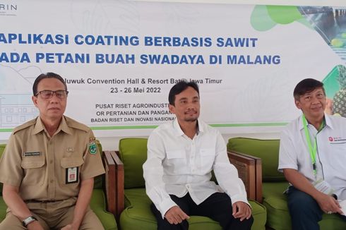 Gantikan Lilin Lebah, Sawit Dipakai untuk Coating Buah agar Tahan Lama